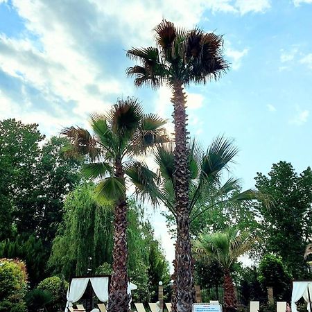 Апартаменты Aphrodite Roce Sunny Beach Dış mekan fotoğraf